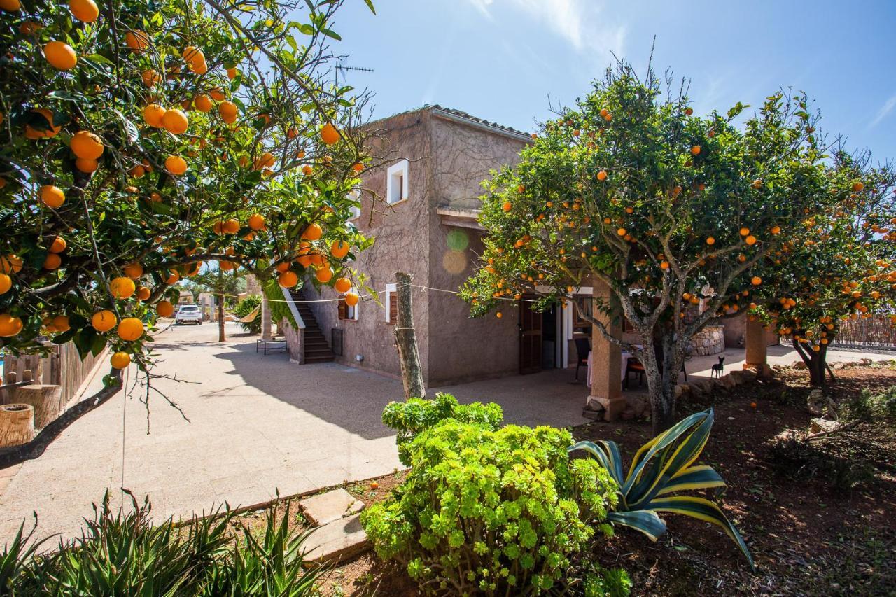 Holiday home Sa Volta Nova Porreres