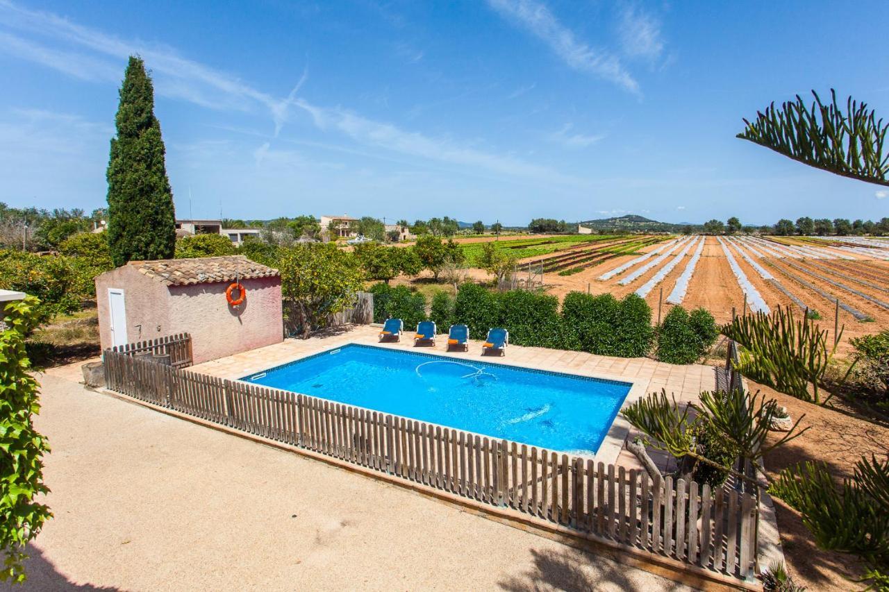 Sa Volta Nova Holiday home *